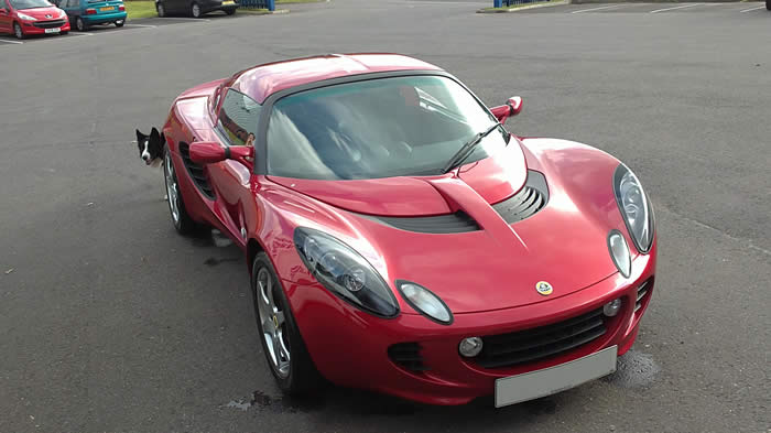 Lotus